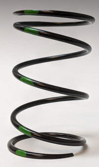 Polaris Secondary Spring - 140-220 BLACK/GREEN