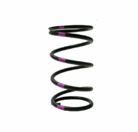 Arctic Cat Boss Secondary Spring 155-240 GREEN/PINK