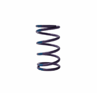 Arctic Cat Adapt Clutch Primary Spring 100-200 PURPLE/BLUE