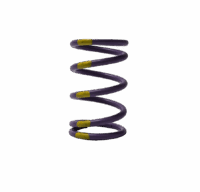 Arctic Cat Adapt Clutch Primary Spring 110-275 PURPLE/YELLOW